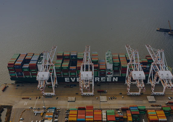 Integrated Free Trade Zones will reshape the landscape of automotive re-export trade!