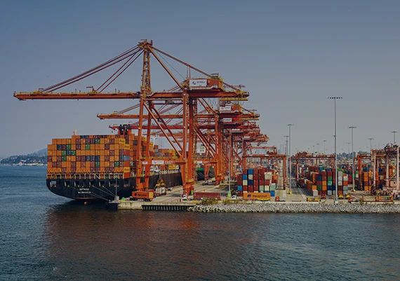 Imported Seafood Customs Clearance Slow? You Might Have Stepped Into These Three Minefields