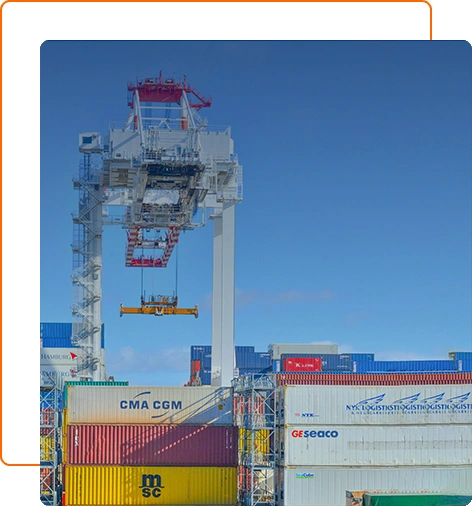 China Import Agency Service