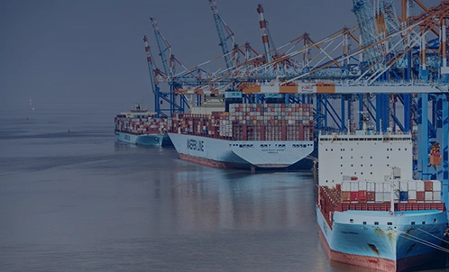 China Import Customs Clearance Service Process