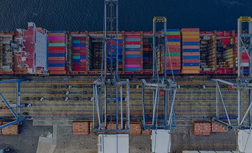 Re-export Agency Service Process