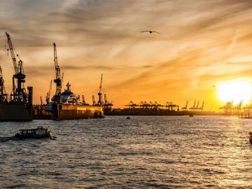 Shocking! So Many Nuances Hidden in Import and Export Agent Tax Payments