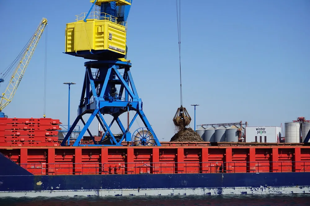 From African Farms to Chinese Tables: The Fantastic Voyage of a Sesame Seed