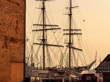 Import Agent Services