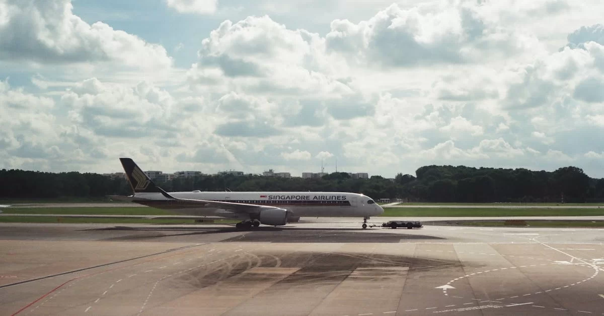 Versteckte Vorteile der Importagentur in Jiangxi