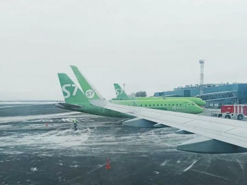 Wuhan Export Agent Collection: You Need to Know the Ins and Outs!