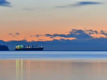 Why Are Mechanical Import Customs Declaration Agency Fees So High?