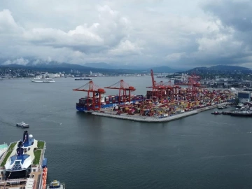 Mandataire pour la demande de licence d’import-export ? Tout ce que vous devez savoir est ici !