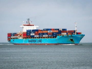 Imported Seafood Customs Clearance Slow? You Might Have Stepped Into These Three Minefields