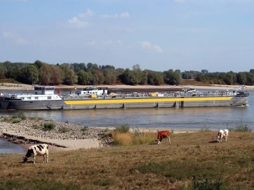 Hai'an Export Agent: Do Businesses Really Need One?