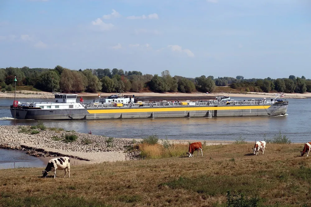 아무렇게나 고르지 마세요! 수출 화물 대행사 조회 완벽 가이드
