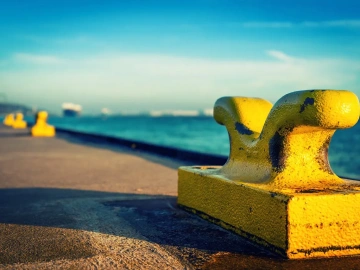 What problems should we pay attention to when looking for an agent to export by ourselves?