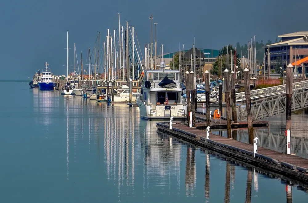 The Truth About Import Customs Brokerage Services You Don't Know!