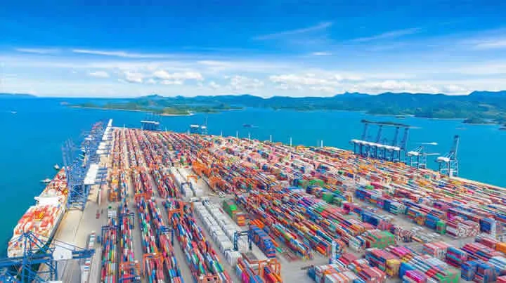 Не недооценивайте шанхайского импортного агента по вину, здесь есть чему поучиться!