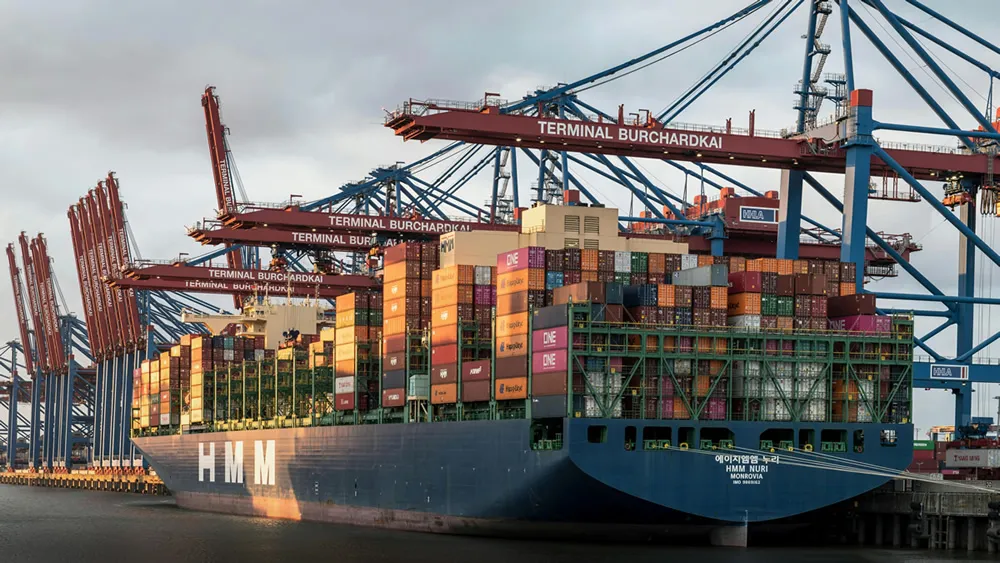 Is Mushroom Export Agency Declaration Really That Difficult?