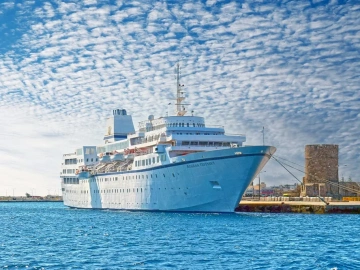 Is it really that easy to be a food agent for imported food in Shandong?