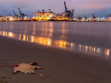 Les secrets des agents d’import-export aérien international de Wuhan que vous ignorez