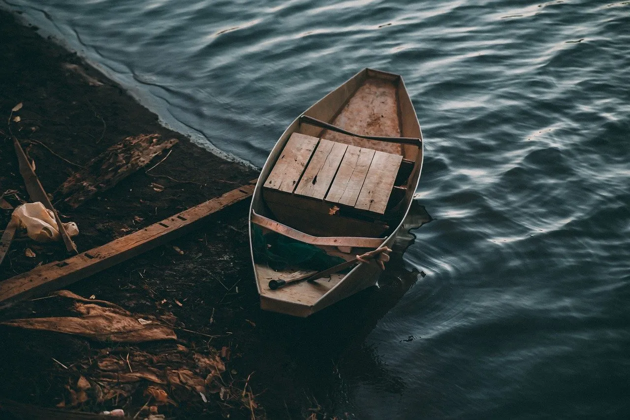 The Dark Forest Law of Export Authority Agency