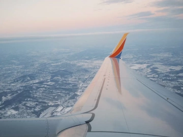 Agent Import Customs Declaration and Clearance? Do you know all the ins and outs!