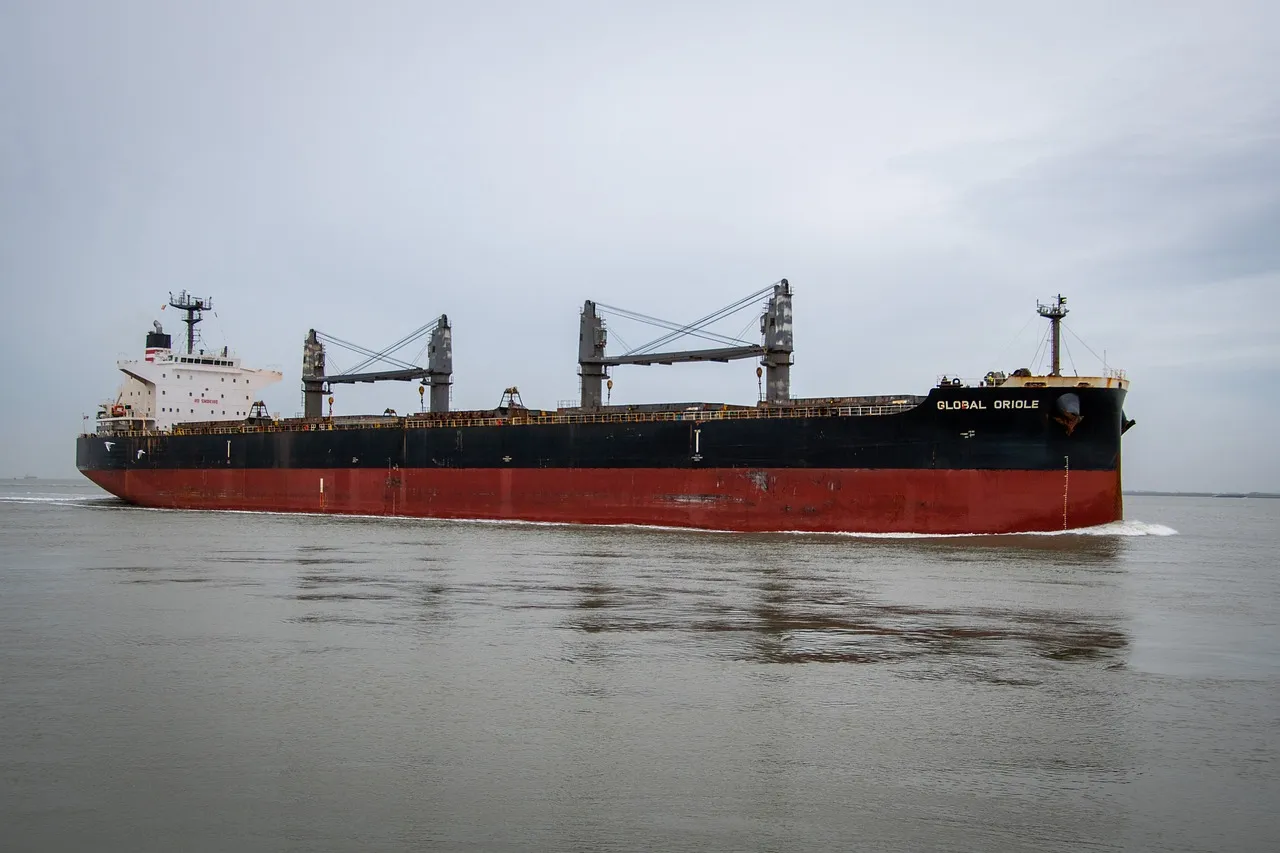 우한 플라스틱 봉투 재수출입 무역 진실 파헤치기