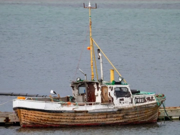 Die geheime Waffe der Export-Agentur-Steuererstattung, von der Sie nichts wussten