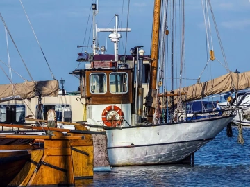 How long does the foreign trade agency tell you to import customs clearance goods?