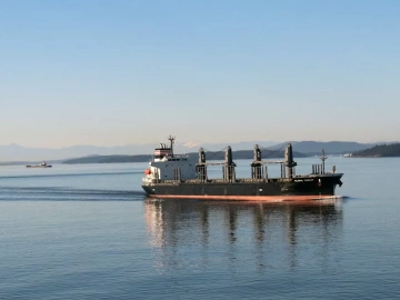 Korean Imported Snacks Agency, is there really such a big "profit" prospect?