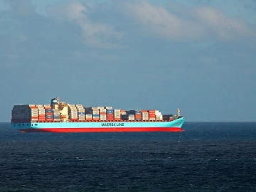 Imported Immunodiagnostic Reagents Agency: A Pie or a Trap?