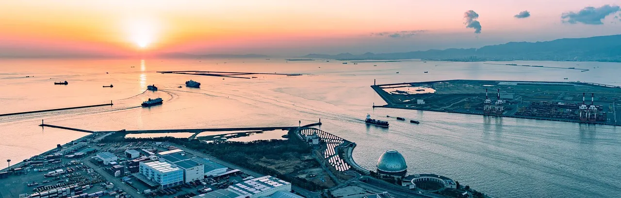 ¡Sorpresa! ¿Hay tantos secretos en el despacho de aduanas de productos químicos domésticos importados?