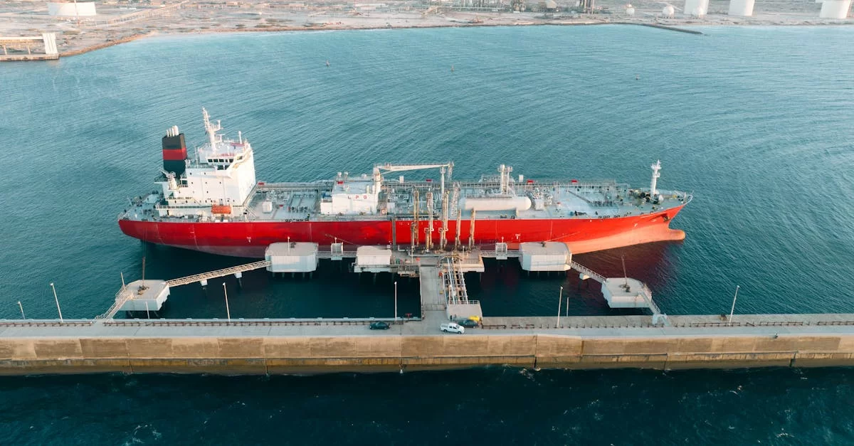 ¡Sorpresa! Las agencias de exportación de Hai’an tienen tantas ventajas ocultas