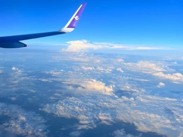 Der Import- und Exportagent ist der „Cheat-Code“ der Außenhandelsbranche