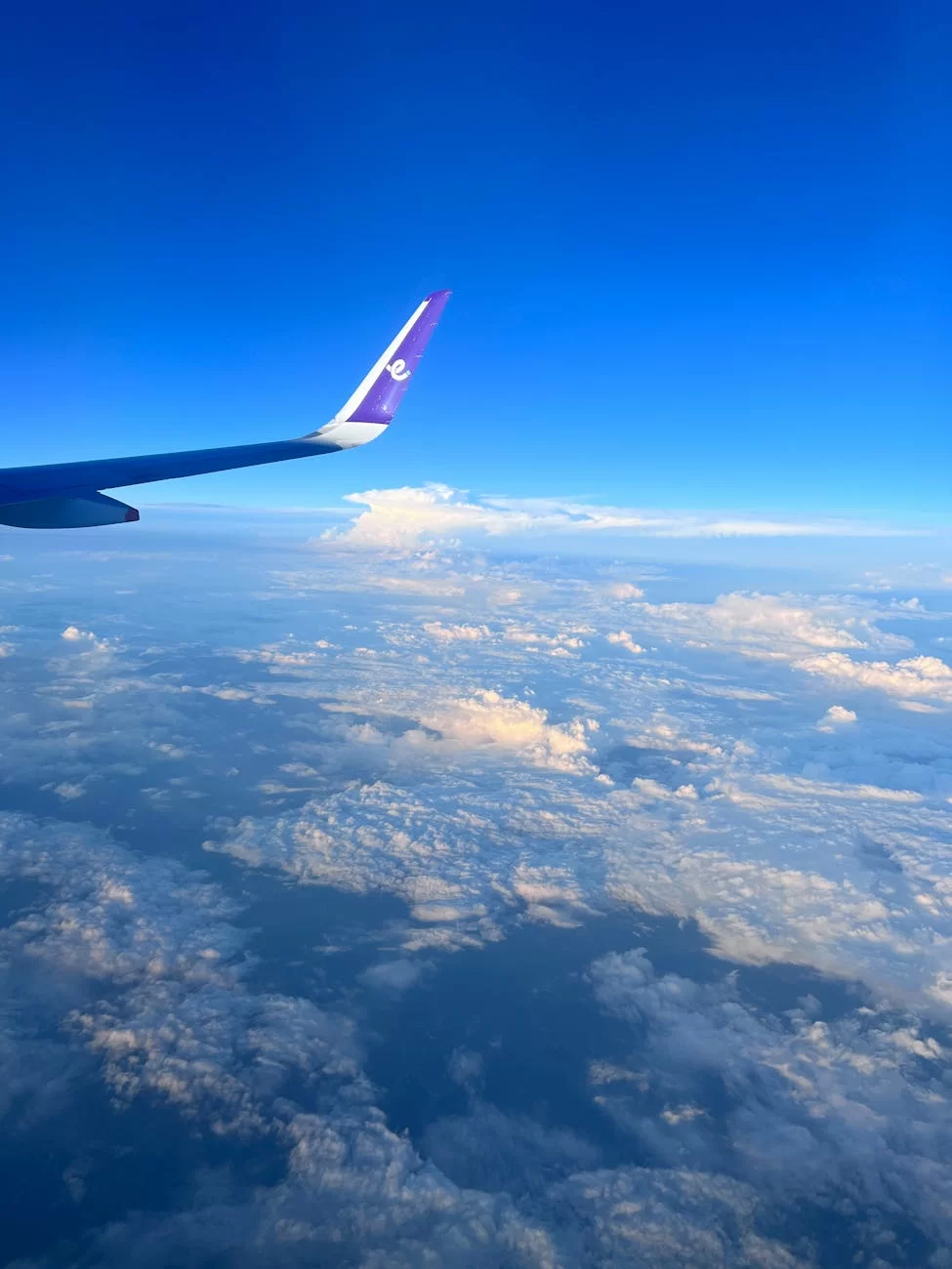 더 이상 엉터리로 하지 마세요! 스쿠터 수입 통관 완전 공략