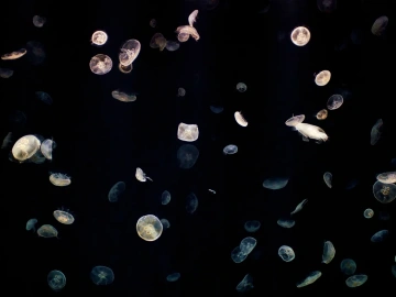 Astonishing! This Import Freight Forwarding Company in Jiangxi is Truly Remarkable!