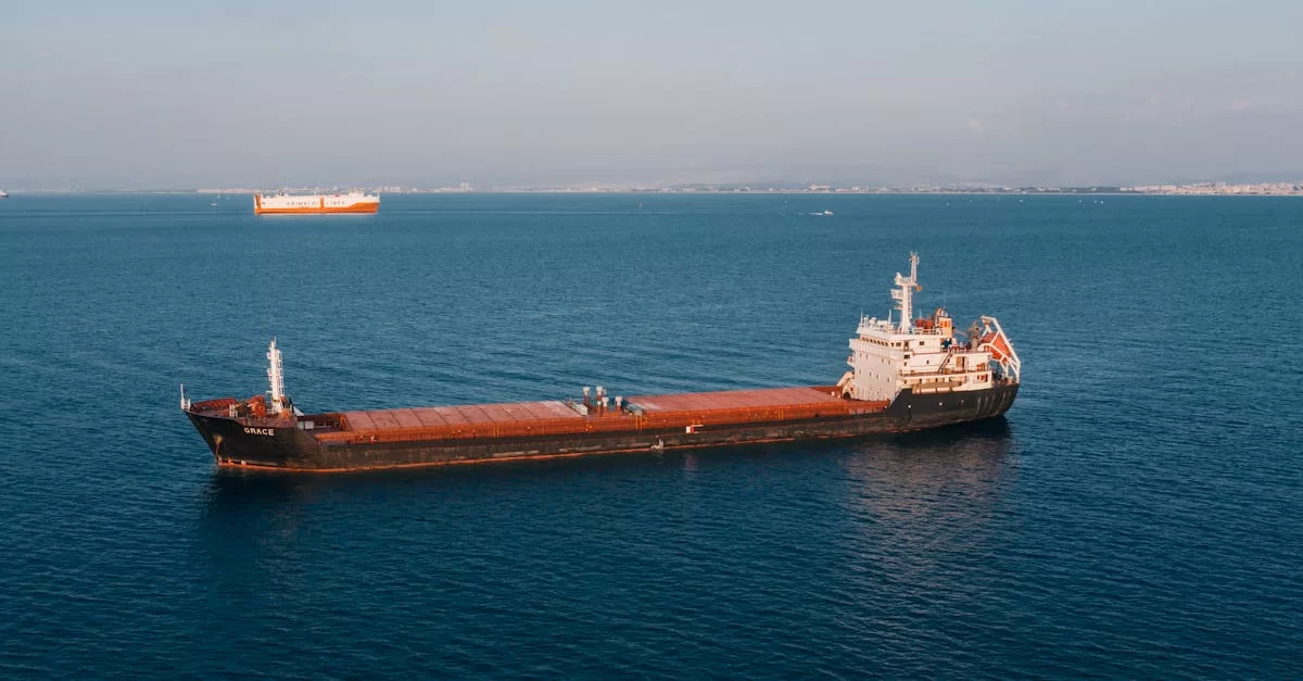 ドイツ輸入業者代理？その裏側をご存知ですか？