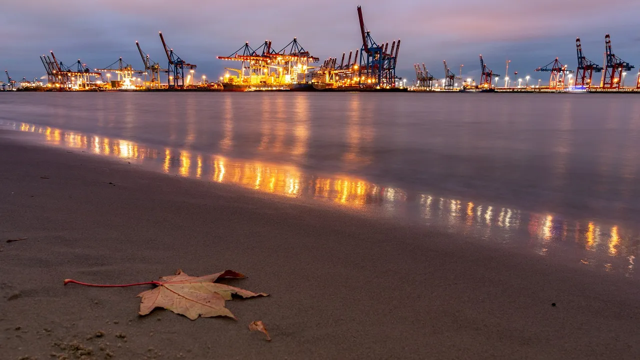 What Unknown Challenges Do Nanyang Vietnam Re-export Trade Enterprises Face?