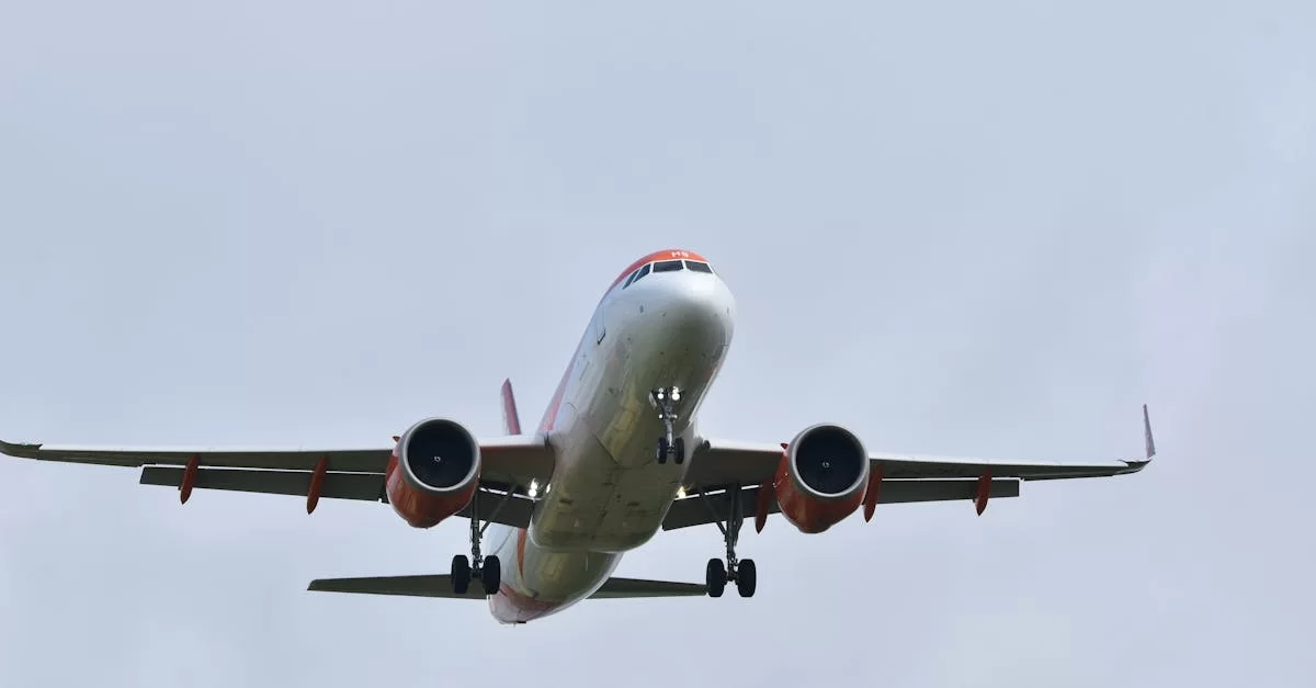 2025 윤활제 수출 대리 시장 백서