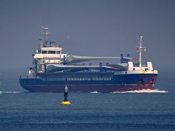 Import von Immunreagenzien-Agenturen: Ein Kuchen oder eine Falle?