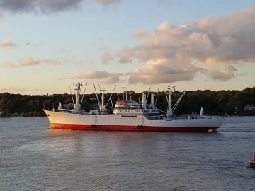 How long does vehicle export customs declaration usually take when using an agent?