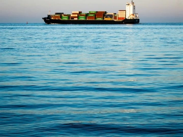 Import von Immunreagenzien-Agenturen: Ein Kuchen oder eine Falle?