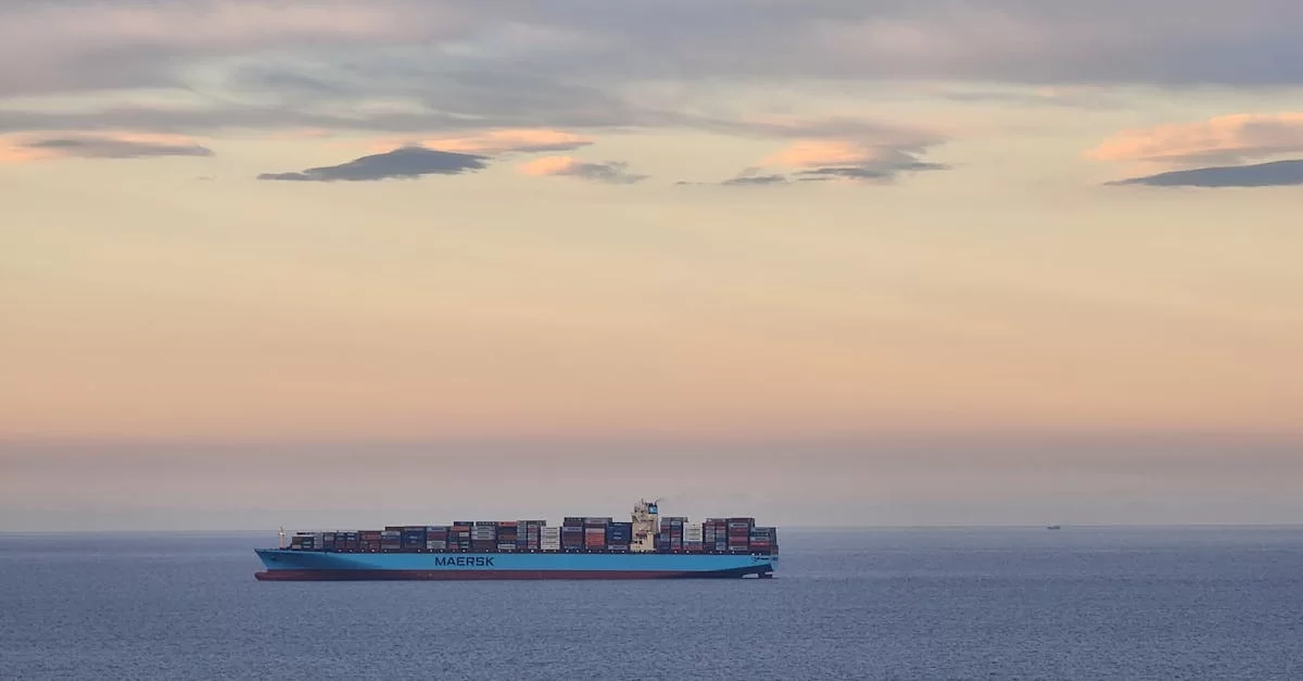 Hangzhou Import and Export Agency Price Unveiled!