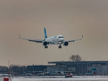 What are the main responsibilities of a foreign trade import and export agency?