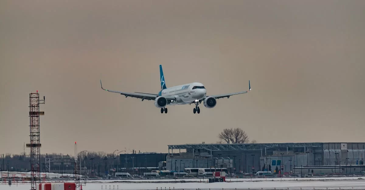 Почему стоит разобраться в международном экспортном процессе экспедитора?
