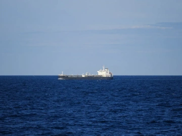 Mandataire pour la demande de licence d’import-export ? Tout ce que vous devez savoir est ici !