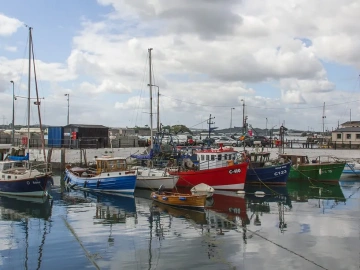 Import and Export Agency: The "Cheat Code" for Foreign Trade