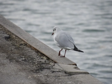 Révélation des prix des services d’agence d’import-export à Hangzhou !