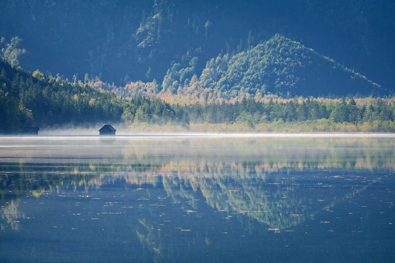 Geheime Angebotstechniken, die erfahrene Außenhandelsakteure nicht verraten