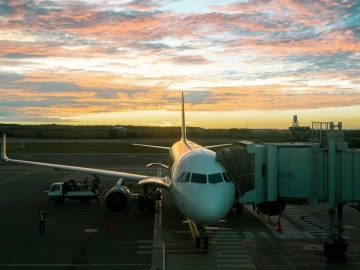 15 months after Brexit, UK food exports to EU fell 19%