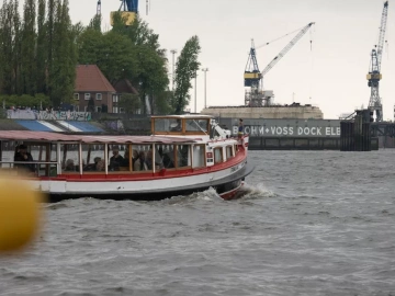 Shocking! Xiamen Agency Collection & Export Has So Many Intricacies?