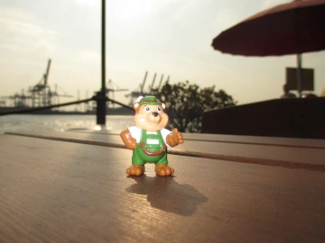 Customs declaration and clearance for export to Russia