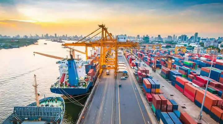 Шок! При оформлении права на экспорт и импорт выбор этой компании дает столько преимуществ